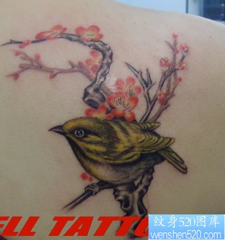 点击大图看下一张:女孩子肩部好看的喜鹊梅花纹身图片
