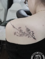 女人肩膀漂亮的小燕子纹身图片