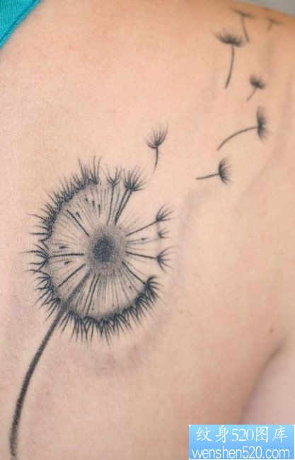点击大图看下一张:女孩子肩部好看流行的蒲公英纹身图片