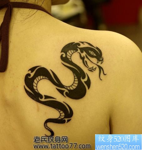点击大图看下一张:经典的美女肩部图腾蛇纹身图片