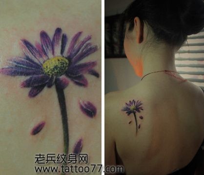 点击大图看下一张:美女肩部邹菊纹身图片