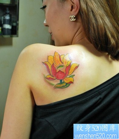 点击大图看下一张：美女肩背漂亮的彩色莲花纹身图片