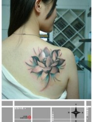女人肩背唯美时尚的黑白莲花纹身图片