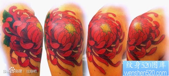 点击大图看下一张:女人肩膀处时尚唯美的菊花纹身图片