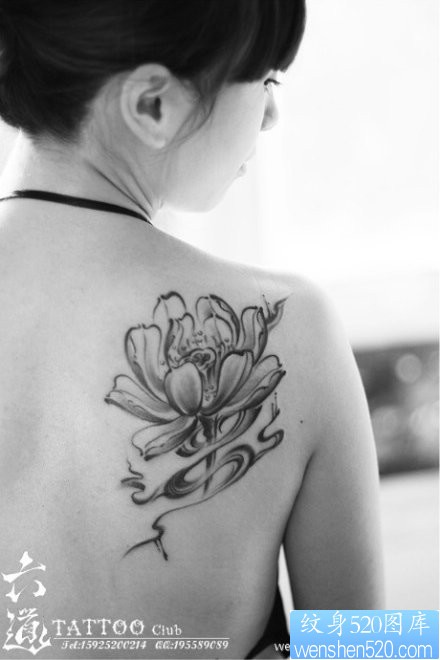 点击大图看下一张：女人肩背唯美的写意莲花纹身图片