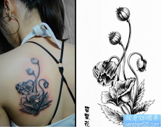 点击大图看下一张:一幅肩背花文身图片纹身520图库推荐