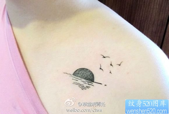 点击大图看下一张:一幅女人肩部海鸥纹身图片由纹身520图库推荐