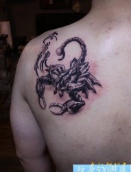 男生肩部一幅蝎子纹身图片