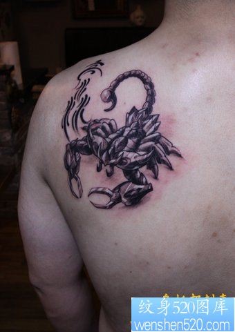 点击大图看下一张：男生肩部一幅蝎子纹身图片