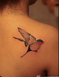 肩背鸟类纹身图案