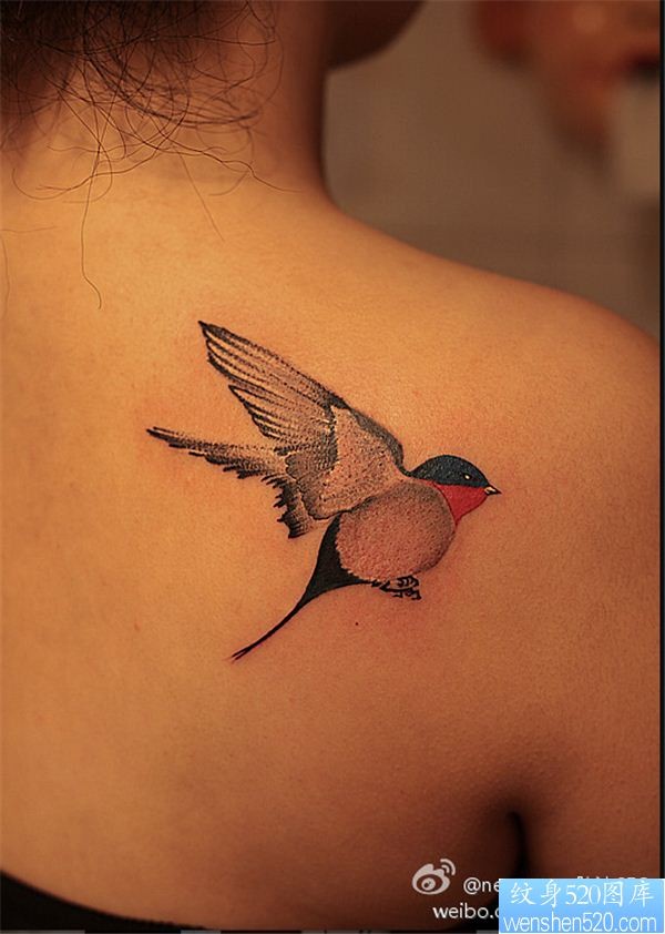 点击大图看下一张：肩背鸟类纹身图案