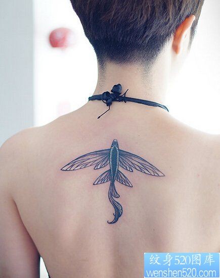 点击大图看下一张：一款女性背部飞鱼纹身图案