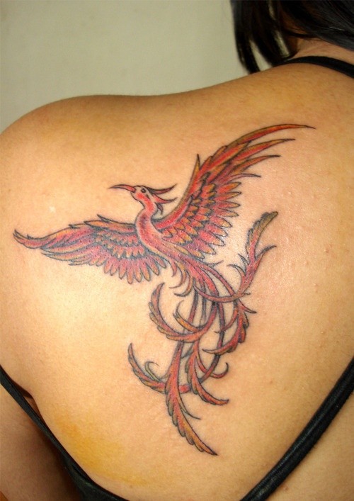 点击大图看下一张：肩部漂亮的吉祥鸟凤凰纹身图2
