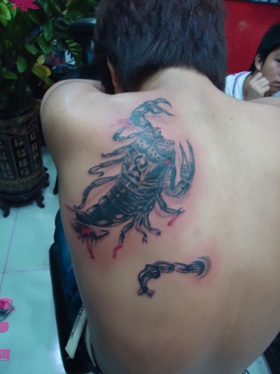 点击大图看下一张：时尚大气的肩部蝎子纹身图5