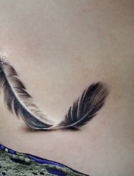 唯美漂亮的羽毛图案纹身