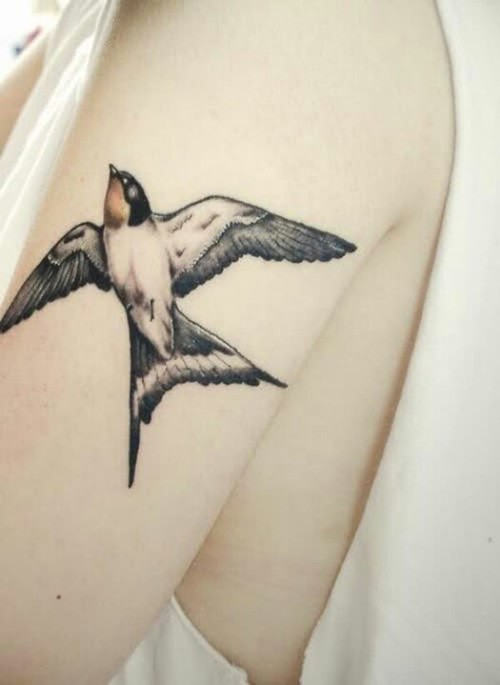 点击大图看下一张：时尚个性的燕子图案纹身