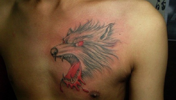 点击大图看下一张：男士胸前滴血狼头纹身图案