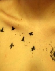 女性胸前小鸟纹身