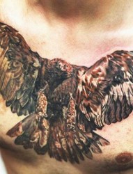 胸部帅气的老鹰纹身