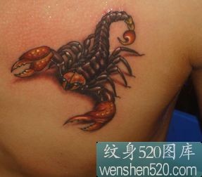 点击大图看下一张：三张胸前彩色蝎子纹身图案作品