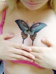 好看唯美的女性胸部蝴蝶纹身图案hudiewenshen
