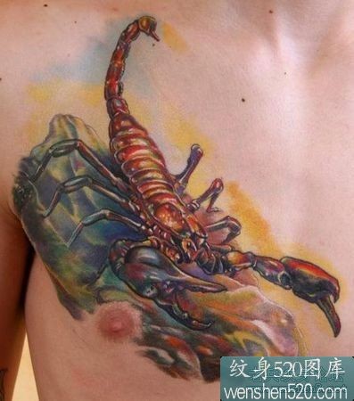 点击大图看下一张：三张胸前彩色蝎子纹身图案作品图3
