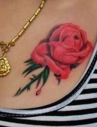 胸部纹身图片：潮流经典胸部彩色玫瑰纹身图片纹身作品