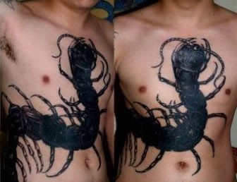 点击大图看下一张：男子胸前双肩大蜈蚣图案刺青欣赏