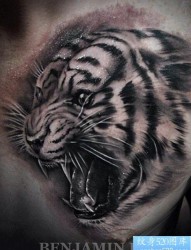 胸部霸气的老虎纹身图片