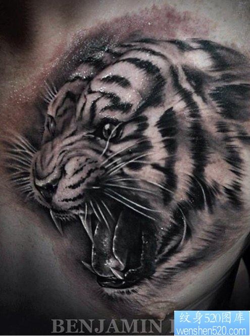 点击大图看下一张：胸部霸气的老虎纹身图片