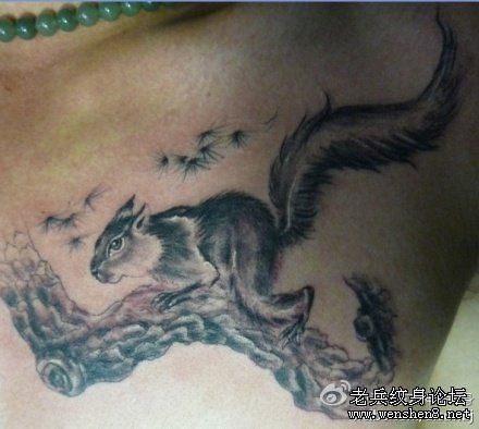 点击大图看下一张：松鼠纹身图片：胸部松鼠纹身图片纹身作品