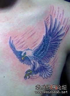 点击大图看下一张：胸部纹身图片：经典胸部老鹰纹身图片纹身作品