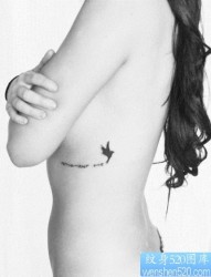 美女胸部可爱的图腾猫咪纹身图片
