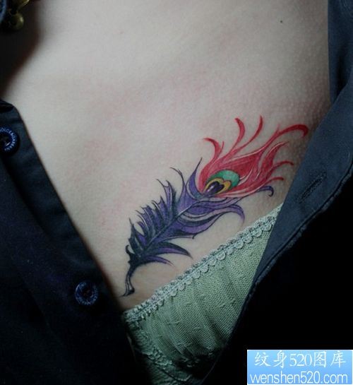 点击大图看下一张：女孩子胸部流行的彩色羽毛纹身图片
