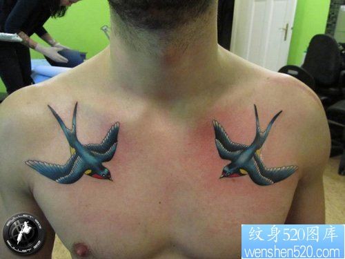 点击大图看下一张：男人胸部好看的彩色小燕子纹身图片
