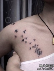 女孩子胸部一幅蒲公英与小鸟纹身图片