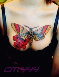 美女前胸漂亮的彩色蝴蝶纹身图片