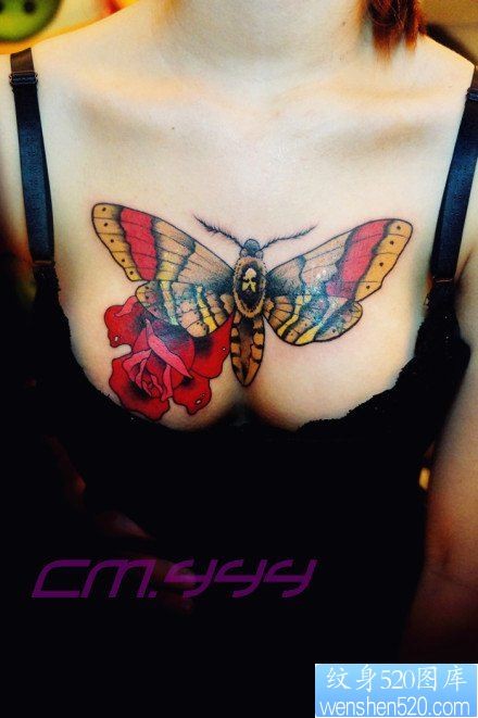 点击大图看下一张：美女前胸漂亮的彩色蝴蝶纹身图片