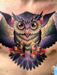 纹身520图库推荐一幅胸部彩色猫头鹰纹身图片