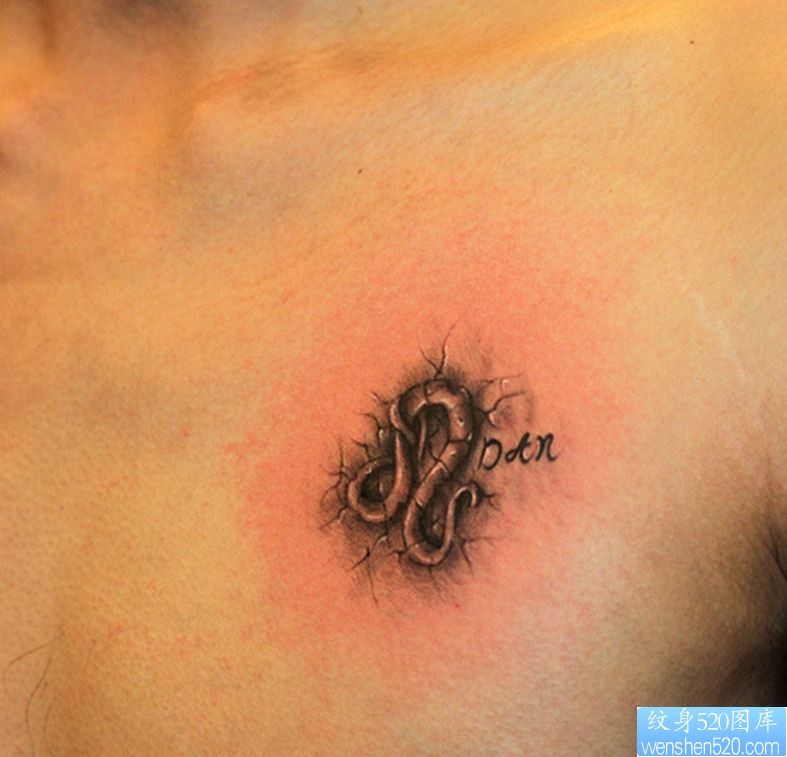 点击大图看下一张：一幅前胸星座纹身图片由纹身520图库推荐