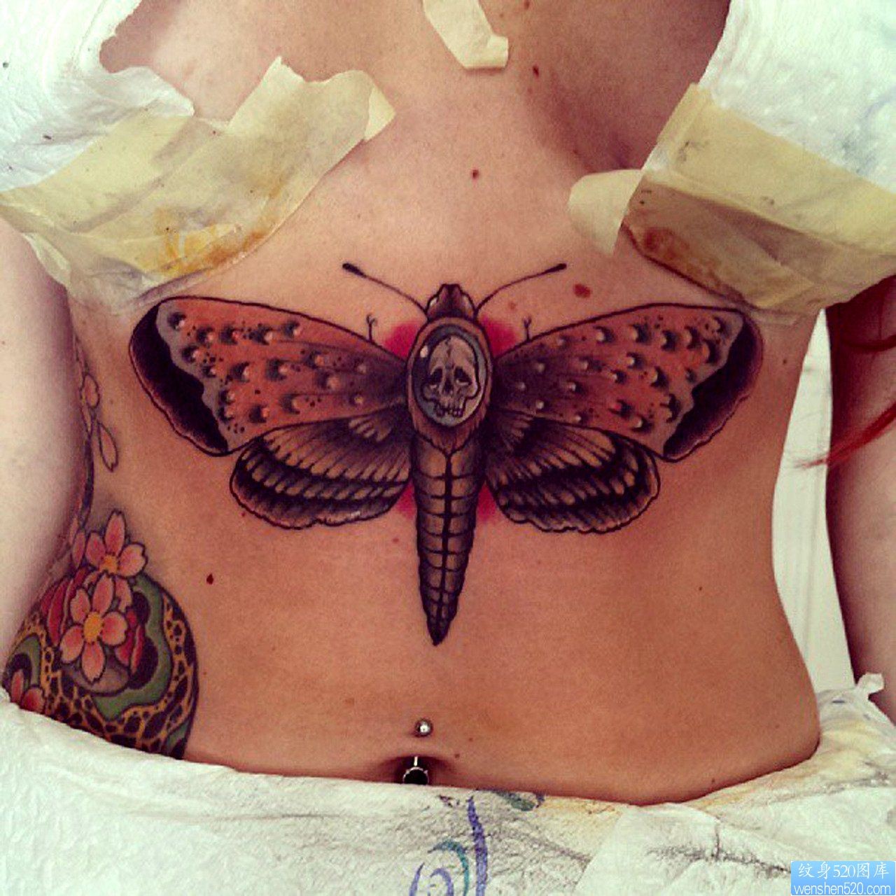 点击大图看下一张：推荐胸部下面一幅潮流蝴蝶纹身图片