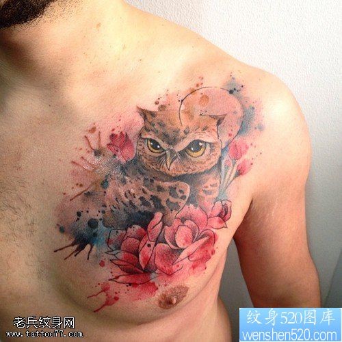 点击大图看下一张：胸口彩色猫头鹰纹身图片
