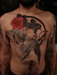 鸽子和玫瑰组合的胸部纹身