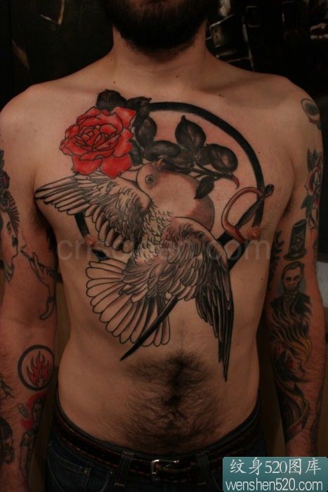 点击大图看下一张：鸽子和玫瑰组合的胸部纹身