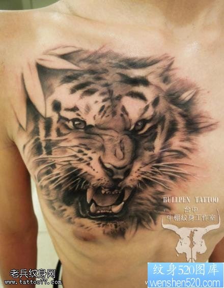 点击大图看下一张：男士胸口张大虎口的老虎纹身图案