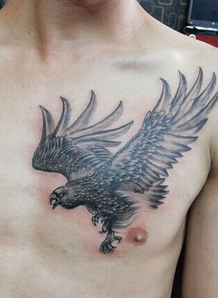 点击大图看下一张：超级帅气的胸部雄鹰纹身图3