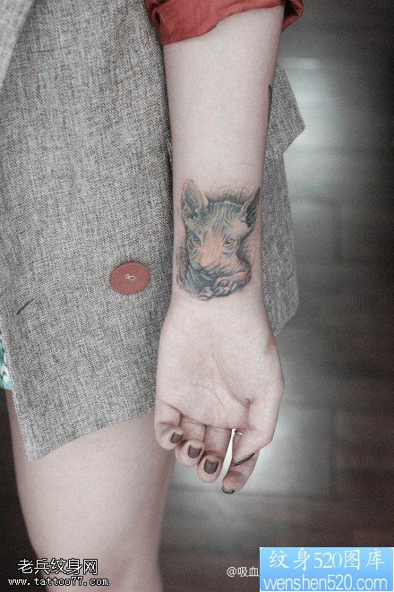 点击大图看下一张：一款女性手腕斯芬克斯猫咪纹身图案