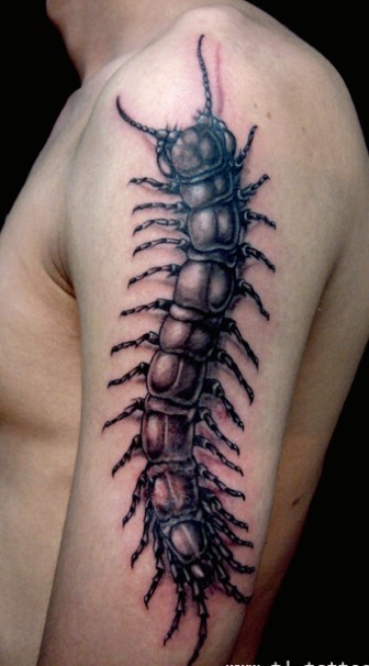 点击大图看下一张：一组男士背部霸气的纹身参考图案图4