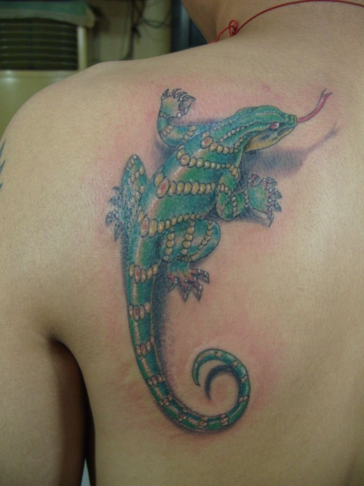 点击大图看下一张：肩甲上的绿色蜥蜴图案