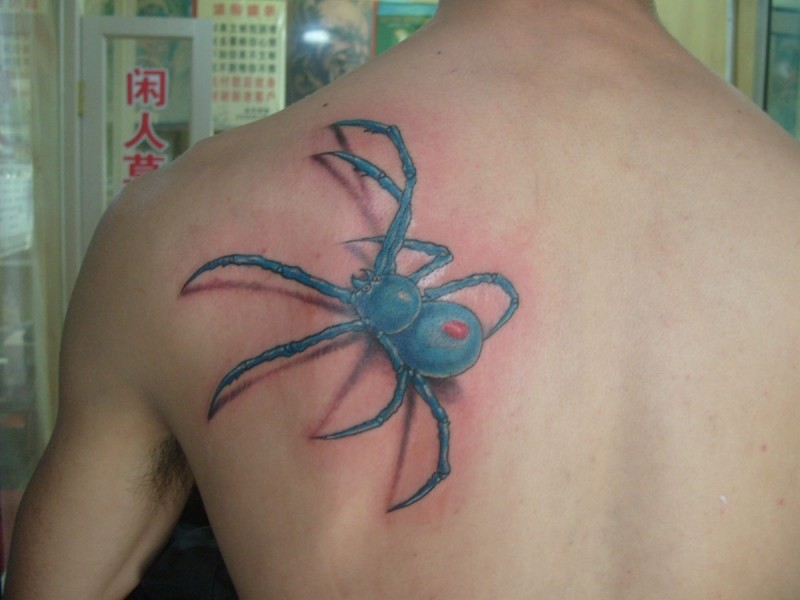 点击大图看下一张：肩甲上的蜘蛛图案纹身